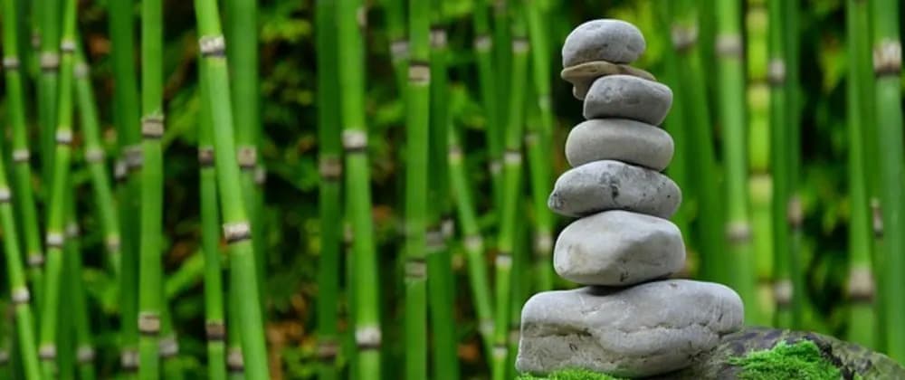 Discipline and Development